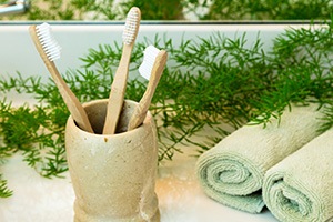 Toothbrushes in holder