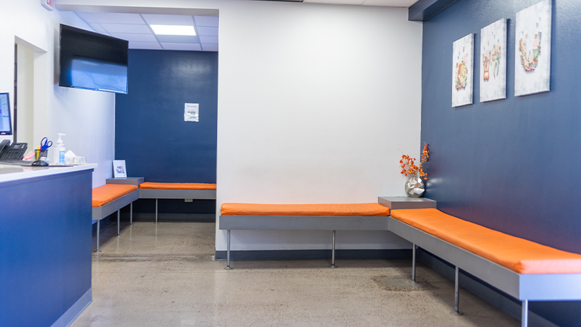 Benches in dental office waiting area