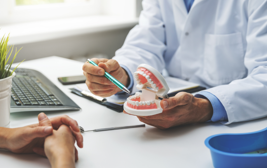 Dentist showing patient model teeth